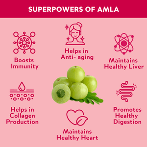 Amla Gummies I Vegan Gummies with 100% plant-based actives for anti-aging, healthy skin, digestion and immunity Supplements Ayuttva