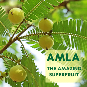 Amla 軟糖|純素軟糖,含植物性有效成分,適用於健康皮膚、頭髮、消化和免疫力