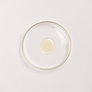 The Ayurveda Experience Black Gram Edit - Face and Body Trio with the Power of Black Gram Skin Care A Modernica Naturalis