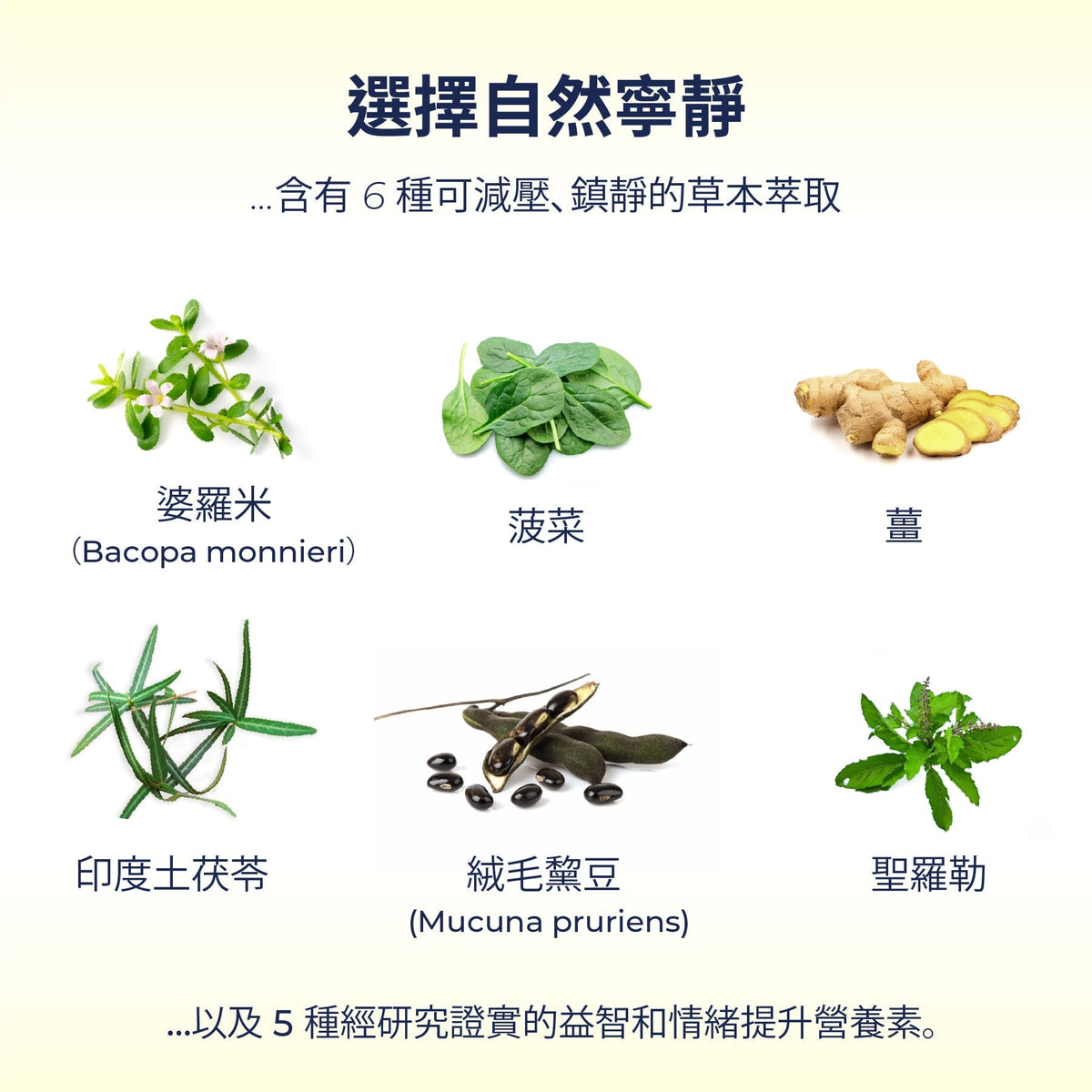 BacoBliss I 经科学测试 情緒支持配方 I 含有 超过 10 种强效成分，如 Mucuna pruriens、Bacopa monnieri、5-HTP 等，可使 平静、放松并偶尔缓解压力。 Supplements Ayuttva
