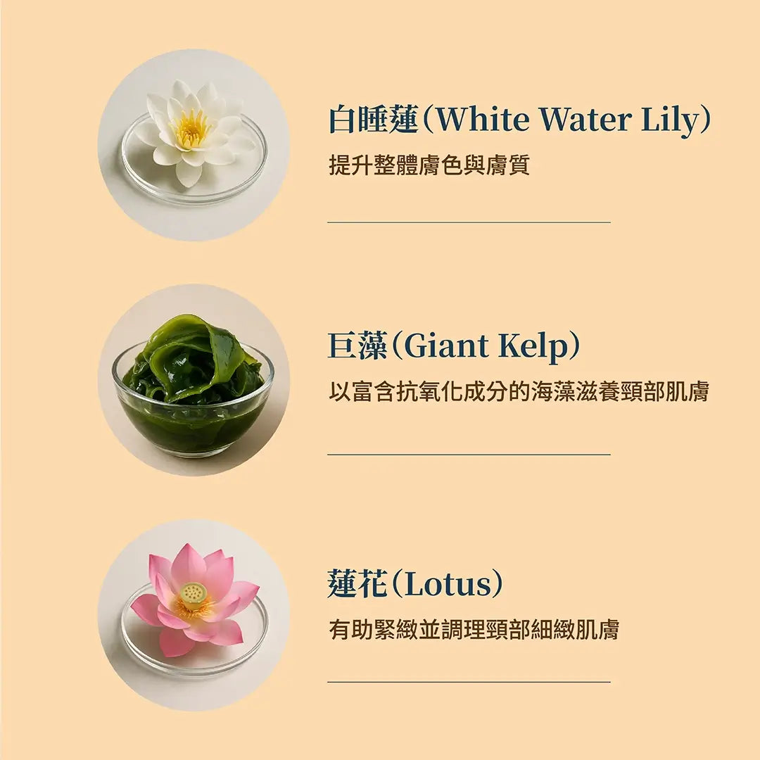 Firm-Focus 頸部面膜 — 提拉、緊緻並改善頸部、下顎、下巴與上胸部鬆弛肌膚的外觀；針對性頸部緊緻配方，蘊含植物神經醯胺（Phyto-Ceramides）與睡蓮（Water Lily）。最佳頸部緊緻面膜。