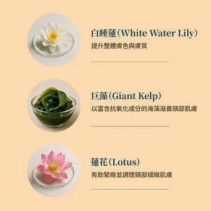 Firm-Focus 頸部面膜 — 提拉、緊緻並改善頸部、下顎、下巴與上胸部鬆弛肌膚的外觀；針對性頸部緊緻配方，蘊含植物神經醯胺（Phyto-Ceramides）與睡蓮（Water Lily）。最佳頸部緊緻面膜。