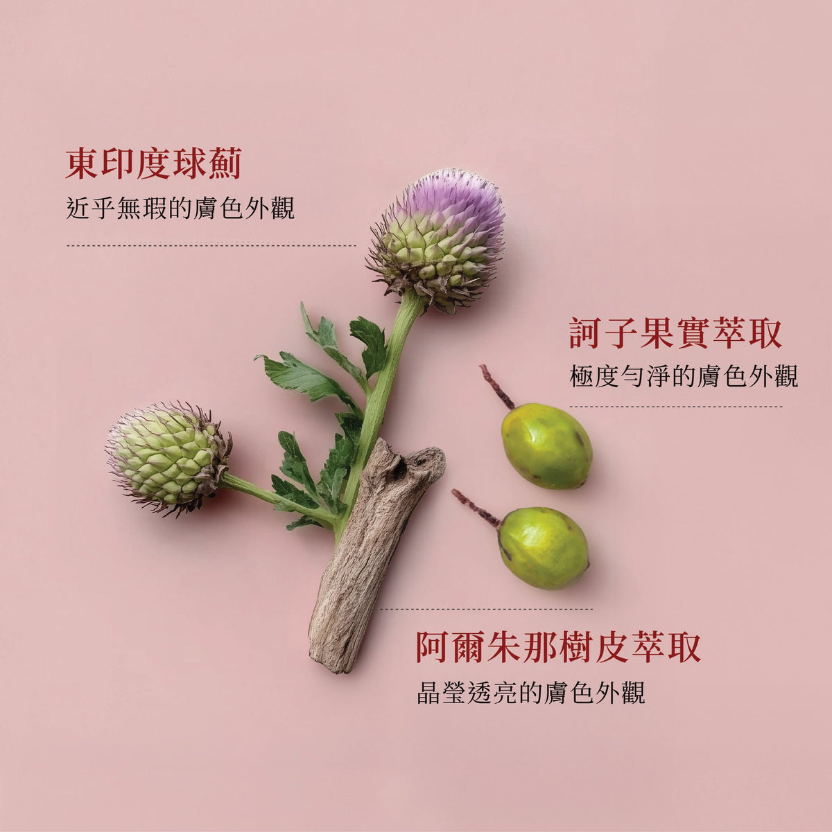 Dim N Dazzle Dark Spot Patch — 淡化頑固色斑與斑駁黯沉，採用 East Indian Globe Thistle、Chebulic Myrobalan、Niacinamide 及 Glycolic Acid 賦能 — 為追求超均勻、晶透無瑕膚色的最佳淡斑貼 The Ayurveda Experience