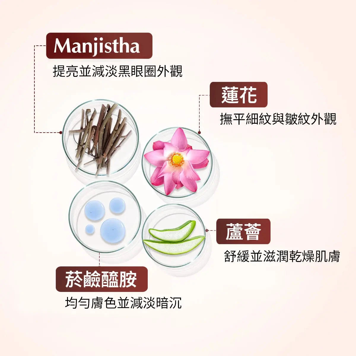 Rufolia PRO 眼部輪廓霜 – 提亮、緊緻並滋潤眼周 – 新配方，內含茜草、蘆薈、蓮花和煙酰胺 – 最佳眼周乳霜 – 含臨床測試成分 Eye Cream A Modernica Naturalis