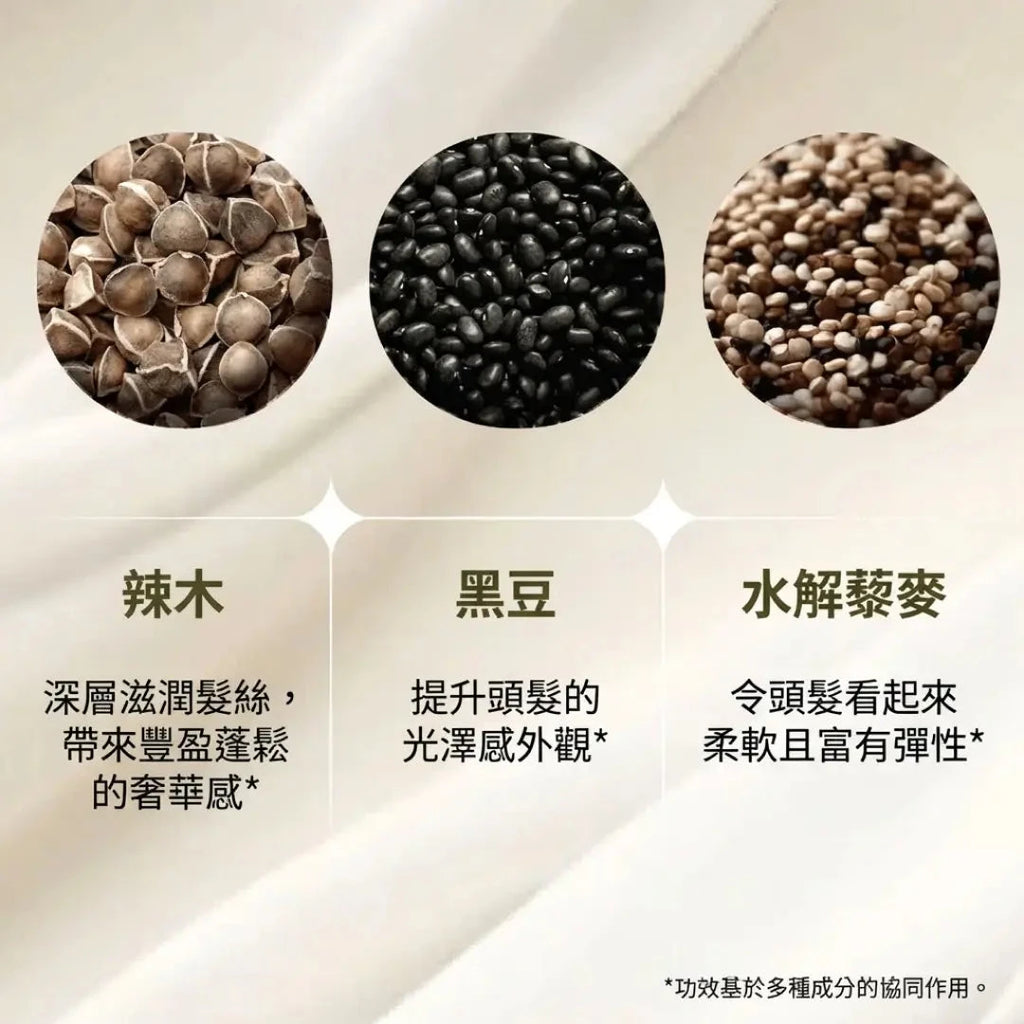 Soft-O-More 洗髮精 — 潔淨、保濕，並改善乾燥、黯淡、受損或老化髮質的外觀 - 超保濕配方蘊含 辣木 (Moringa)、積雪草 (Gotu Kola) 與 黑扁豆 (Black Gram)。適合受損、毛躁髮質的極致修護洗髮精。 Hair Shampoo A Modernica Naturalis