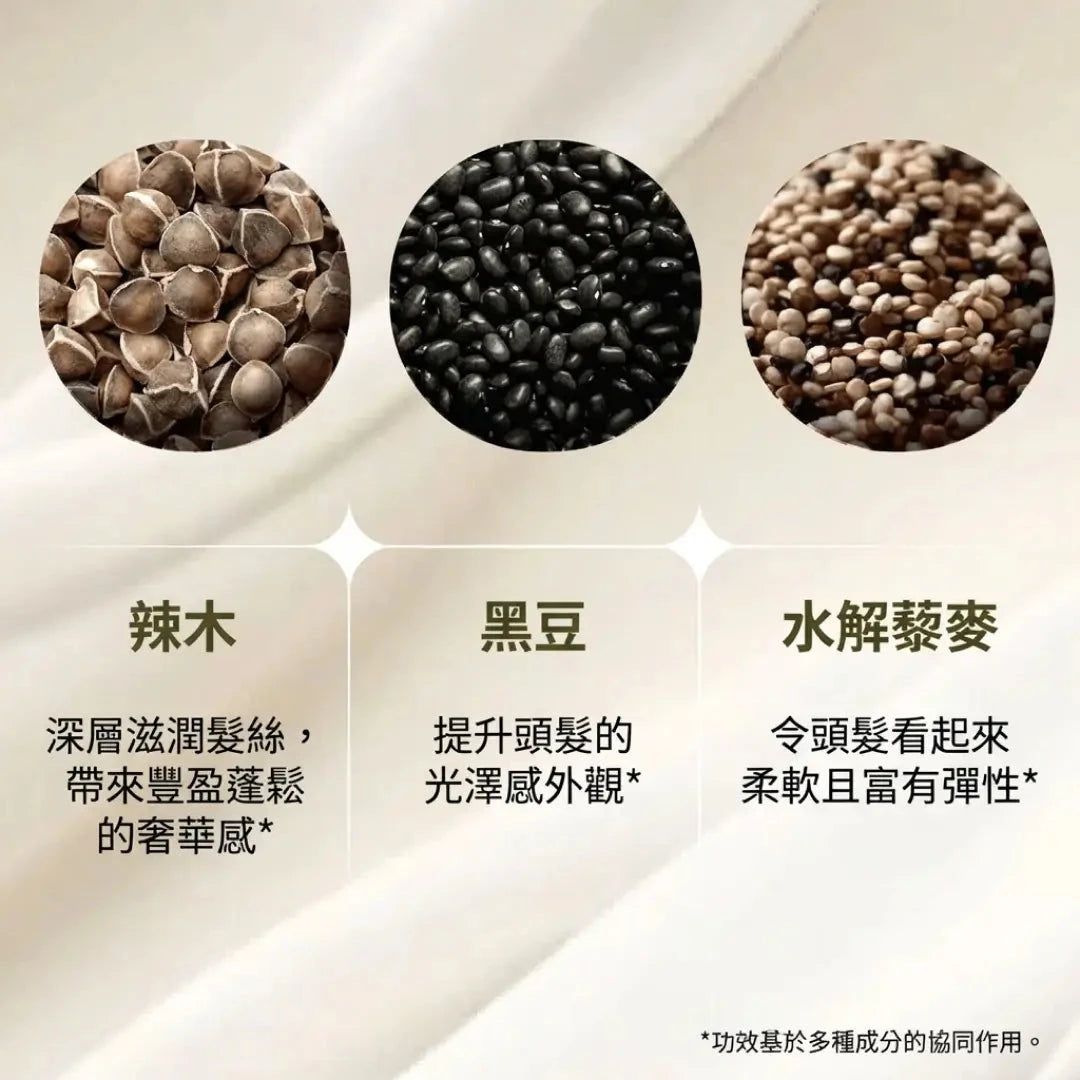 Soft-O-More 洗髮精 — 潔淨、保濕，並改善乾燥、黯淡、受損或老化髮質的外觀 - 超保濕配方蘊含 辣木 (Moringa)、積雪草 (Gotu Kola) 與 黑扁豆 (Black Gram)。適合受損、毛躁髮質的極致修護洗髮精。 Hair Shampoo A Modernica Naturalis